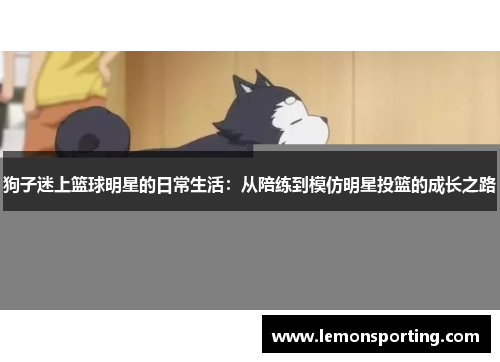 狗子迷上篮球明星的日常生活：从陪练到模仿明星投篮的成长之路